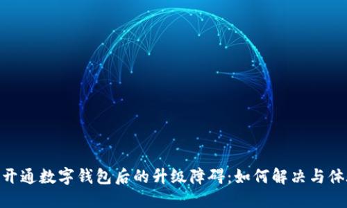 : 開通數(shù)字錢包后的升級障礙：如何解決與體驗