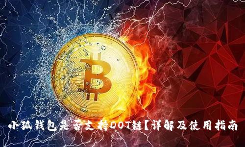 小狐錢包是否支持DOT鏈？詳解及使用指南