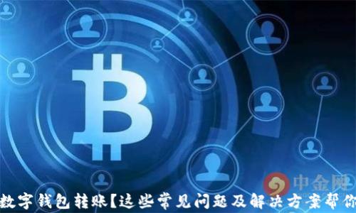 
沒有收到數(shù)字錢包轉(zhuǎn)賬？這些常見問題及解決方案幫你找回資金