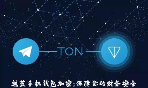 
魅藍(lán)手機(jī)錢包加密：保障你的財(cái)務(wù)安全