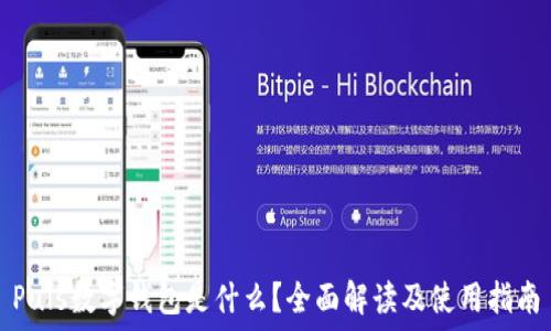   
Puls數(shù)字錢包是什么？全面解讀及使用指南