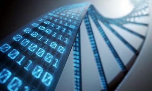 

metaMask最新安卓版：全方位指南與使用技巧

關(guān)鍵詞
MetaMask, 加密錢(qián)包, 區(qū)塊鏈/guanjianci

詳細(xì)介紹

在當(dāng)今數(shù)字化時(shí)代，去中心化金融的興起使得越來(lái)越多的用戶(hù)開(kāi)始關(guān)注和使用加密貨幣，而MetaMask作為一個(gè)領(lǐng)先的數(shù)字錢(qián)包和去中心化應(yīng)用（DApp）平臺(tái)，成為了用戶(hù)與區(qū)塊鏈?zhǔn)澜绲臉蛄?。最新的MetaMask安卓版更是增加了多種新特性，提升了用戶(hù)體驗(yàn)，本文將詳細(xì)介紹MetaMask的使用方法、功能特點(diǎn)，以及常見(jiàn)問(wèn)題的解答。

MetaMask安卓版的功能特點(diǎn)

MetaMask不僅提供了一種安全的方式來(lái)存儲(chǔ)和管理加密貨幣，還允許用戶(hù)直接與區(qū)塊鏈進(jìn)行交互。在最新的安卓版中，引入了更多創(chuàng)新功能，如：易用的用戶(hù)界面、更加多樣化的資產(chǎn)管理、增強(qiáng)的安全性以及更快的交易確認(rèn)等。

1. strong用戶(hù)友好的界面/strong
新版MetaMask提供了一個(gè)更直觀的用戶(hù)界面，簡(jiǎn)化了錢(qián)包的操作步驟，使得新手用戶(hù)也能輕松上手。用戶(hù)可以快速查看自己的資產(chǎn)、交易記錄以及DApp訪問(wèn)歷史。

2. strong多種資產(chǎn)支持/strong
MetaMask支持以太坊和ERC-20代幣的管理，用戶(hù)可以在單一的應(yīng)用程序中管理多種數(shù)字資產(chǎn)，方便性大大增強(qiáng)。

3. strong安全性提升/strong
最新版本增加了額外的安全防護(hù)措施，用戶(hù)可以通過(guò)面部識(shí)別或指紋識(shí)別等生物驗(yàn)證技術(shù)來(lái)保護(hù)他們的錢(qián)包，進(jìn)一步保障資產(chǎn)安全。

4. strong高效交易處理/strong
MetaMask最新版了交易處理流程，用戶(hù)可以更快地完成交易，提高了在DApp中交互的流暢性。

使用MetaMask的步驟

使用MetaMask的第一步是下載并安裝應(yīng)用程序。在Android設(shè)備上，可以從Google Play商店下載安裝。安裝完成后，用戶(hù)需要?jiǎng)?chuàng)建一個(gè)新的錢(qián)包或恢復(fù)已有錢(qián)包。

1. strong創(chuàng)建錢(qián)包/strong
打開(kāi)MetaMask應(yīng)用，點(diǎn)擊“創(chuàng)建錢(qián)包”，然后設(shè)置一個(gè)復(fù)雜且安全的密碼。隨后，用戶(hù)會(huì)獲得一個(gè)助記詞，務(wù)必將其妥善保存，助記詞是恢復(fù)錢(qián)包的唯一憑證。

2. strong添加資產(chǎn)/strong
可以通過(guò)‘添加資產(chǎn)’功能，將自己持有的ERC-20代幣添加到錢(qián)包中。用戶(hù)只需輸入代幣的合約地址、符號(hào)及小數(shù)位數(shù)，系統(tǒng)就會(huì)自動(dòng)識(shí)別并添加。

3. strong進(jìn)行交易/strong
通過(guò)MetaMask，用戶(hù)可以輕松進(jìn)行轉(zhuǎn)賬和接收加密貨幣。在主頁(yè)選擇“發(fā)送”或“接收”，按提示操作即可完成交易。

常見(jiàn)問(wèn)題分析

1. 如何保證MetaMask錢(qián)包的安全性？

MetaMask的安全性是用戶(hù)最為關(guān)注的話題，尤其是在頻繁的網(wǎng)絡(luò)攻擊和騙局發(fā)生的背景下。為了最大限度地保護(hù)錢(qián)包，用戶(hù)應(yīng)采取以下幾條措施：

1. strong妥善保管助記詞和私鑰/strong
助記詞是恢復(fù)錢(qián)包的重要憑證，切勿隨意分享或存儲(chǔ)于網(wǎng)絡(luò)上。私鑰也同樣重要，其泄露將導(dǎo)致資產(chǎn)失竊。

2. strong啟用雙重認(rèn)證/strong
盡可能開(kāi)啟雙重認(rèn)證（2FA），這為登錄添加了一道額外的安全防線。

3. strong定期更新應(yīng)用/strong
保持MetaMask應(yīng)用的最新版本，以確保擁有最新的安全防護(hù)和功能。

4. strong小心釣魚(yú)攻擊/strong
很多騙子使用釣魚(yú)網(wǎng)站或假應(yīng)用程序獲取用戶(hù)資料，務(wù)必確保訪問(wèn)官方網(wǎng)站或官方應(yīng)用商店下載應(yīng)用，避免點(diǎn)擊不明鏈接。

2. 如何處理MetaMask中的交易失敗問(wèn)題？

在使用MetaMask時(shí)，用戶(hù)偶爾可能會(huì)遇到交易失敗的情況，這可能由于網(wǎng)絡(luò)擁堵、氣體費(fèi)用設(shè)置不當(dāng)或合約問(wèn)題引起。處理此類(lèi)問(wèn)題的步驟如下：

1. strong檢查網(wǎng)絡(luò)狀態(tài)/strong
確保Ethereum網(wǎng)絡(luò)正常運(yùn)行，可以通過(guò)一些區(qū)塊鏈瀏覽器（如Etherscan）查看網(wǎng)絡(luò)狀態(tài)。

2. strong調(diào)整氣體費(fèi)用/strong
交易失敗常由于氣體費(fèi)用過(guò)低，用戶(hù)可以適當(dāng)提高氣體價(jià)格，以確保交易被礦工快速處理。

3. strong耐心等待/strong
有時(shí)候只是網(wǎng)絡(luò)擁堵，稍等片刻后再次提交交易或許能解決問(wèn)題。

4. strong查看交易記錄/strong
通過(guò)查看歷史交易記錄，用戶(hù)可以了解交易失敗的具體原因，如是否因余額不足、目標(biāo)地址無(wú)效等問(wèn)題導(dǎo)致的。

3. MetaMask與其他加密錢(qián)包的對(duì)比

在選擇加密錢(qián)包時(shí)，用戶(hù)需要了解不同錢(qián)包的優(yōu)缺點(diǎn)。以MetaMask與其他流行錢(qián)包（如Trust Wallet和Coinbase Wallet）為例，進(jìn)行比較：

1. strong用戶(hù)友好性：/strong
MetaMask以其簡(jiǎn)潔易用的界面而著稱(chēng)，適合新手用戶(hù)，而Trust Wallet同樣友好，但在界面上稍顯復(fù)雜。Coinbase Wallet則依托于Coinbase生態(tài)，用戶(hù)可以享受更多的功能，但界面復(fù)雜度稍高。

2. strong功能強(qiáng)大：/strong
MetaMask支持訪問(wèn)各種DApp和DeFi服務(wù)，用戶(hù)可進(jìn)行交易、質(zhì)押和借貸等操作。Trust Wallet同樣支持多種資產(chǎn)和DApp，而Coinbase Wallet則受制于其平臺(tái)的限制，功能相對(duì)單一。

3. strong安全性：/strong
MetaMask的私鑰和助記詞保存在用戶(hù)本地，安全性較高。但用戶(hù)需自覺(jué)防范釣魚(yú)攻擊。Trust Wallet則提供了非托管錢(qián)包的選項(xiàng)，安全性更上層樓。Coinbase Wallet因依賴(lài)于中心化平臺(tái)，安全性則相對(duì)較低。

4. 常見(jiàn)的MetaMask使用技巧

為了更好地利用MetaMask，用戶(hù)可以掌握一些實(shí)用技巧如下：

1. strong使用硬件錢(qián)包結(jié)合MetaMask/strong
可以將MetaMask與硬件錢(qián)包（如Ledger或Trezor）結(jié)合使用，進(jìn)一步加強(qiáng)安全性。用戶(hù)在進(jìn)行重大交易或持有大額資產(chǎn)時(shí)建議如此操作。

2. strong定期備份錢(qián)包/strong
定期更新助記詞并進(jìn)行備份，以避免數(shù)據(jù)丟失的風(fēng)險(xiǎn)。

3. strong多賬戶(hù)管理/strong
MetaMask支持多賬戶(hù)管理，用戶(hù)可以根據(jù)需求創(chuàng)建多個(gè)錢(qián)包，便于資產(chǎn)的分類(lèi)管理。

4. strong參與社區(qū)和學(xué)習(xí)/strong
加入MetaMask相關(guān)的社區(qū)或論壇，獲取最新動(dòng)態(tài)和使用技巧，與其他用戶(hù)交流經(jīng)驗(yàn)，幫助自己更好地掌握MetaMask。

總之，MetaMask是一個(gè)功能強(qiáng)大且安全的數(shù)字錢(qián)包，用戶(hù)只需掌握基本的使用技巧和安全措施，即可順暢地在區(qū)塊鏈?zhǔn)澜缬稳杏杏?。以上?nèi)容希望能幫助到每一位使用MetaMask的用戶(hù)，提升他們?cè)诩用茇泿排c區(qū)塊鏈技術(shù)領(lǐng)域的認(rèn)知和操作能力。