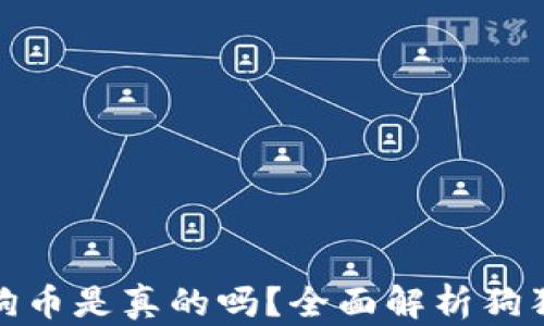 
小狐錢包存狗狗幣是真的嗎？全面解析狗狗幣存儲安全性