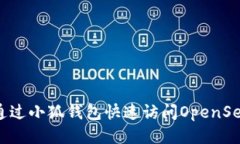 如何通過(guò)小狐錢包快速訪