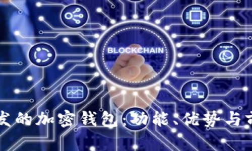 國(guó)內(nèi)開(kāi)發(fā)的加密錢(qián)包：功能、優(yōu)勢(shì)與前景分析
