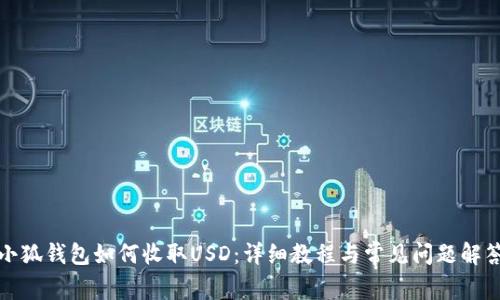 小狐錢包如何收取USD：詳細(xì)教程與常見問題解答