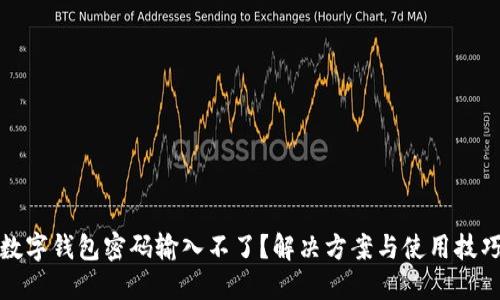 數(shù)字錢包密碼輸入不了？解決方案與使用技巧