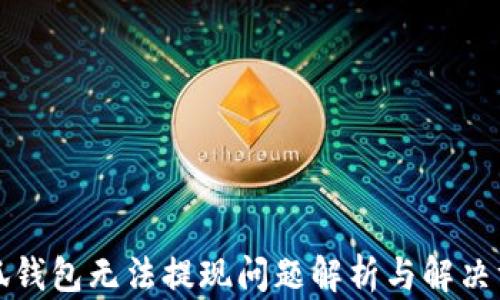 
小狐錢(qián)包無(wú)法提現(xiàn)問(wèn)題解析與解決方案