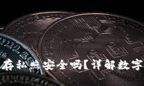 小狐錢包保存私照安全嗎？詳解數(shù)字資產(chǎn)安全性