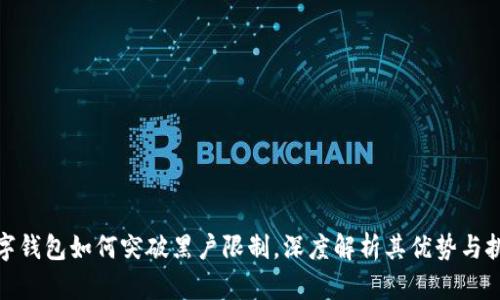 數(shù)字錢包如何突破黑戶限制，深度解析其優(yōu)勢(shì)與挑戰(zhàn)