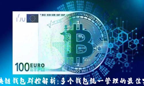 
區(qū)塊鏈錢包群控解析：多個(gè)錢包統(tǒng)一管理的最佳實(shí)踐