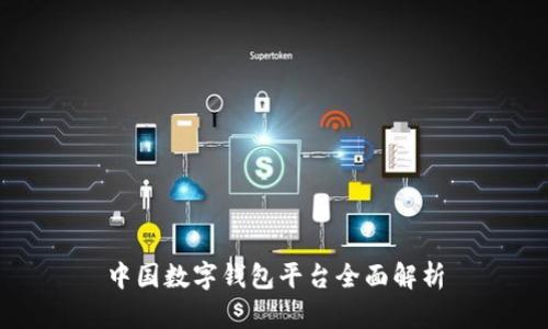 中國(guó)數(shù)字錢包平臺(tái)全面解析