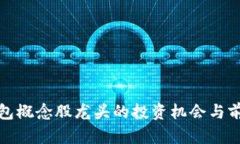 數(shù)字錢包概念股龍頭的投