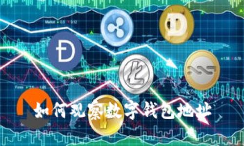 如何觀察數(shù)字錢(qián)包地址