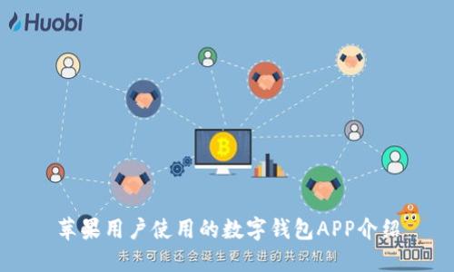蘋果用戶使用的數字錢包APP介紹
