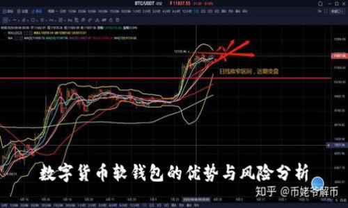 數(shù)字貨幣軟錢包的優(yōu)勢(shì)與風(fēng)險(xiǎn)分析