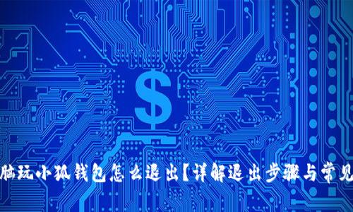 : 電腦玩小狐錢包怎么退出？詳解退出步驟與常見問題