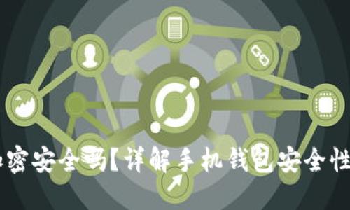 手機(jī)錢(qián)包加密安全嗎？詳解手機(jī)錢(qián)包安全性的方方面面
