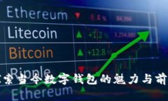 探索當(dāng)今數(shù)字錢包的魅力