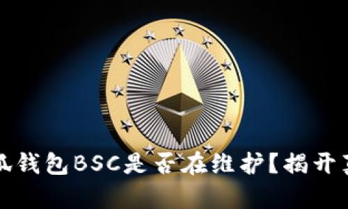 小狐錢包BSC是否在維護？揭開真相