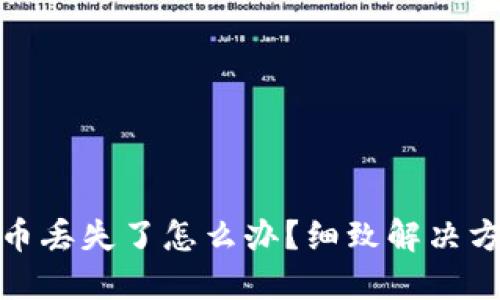 小狐錢包幣丟失了怎么辦？細致解決方案大揭秘