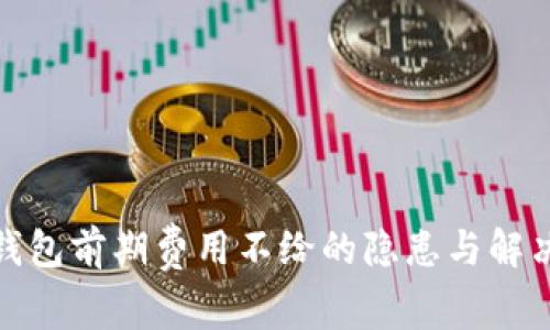 數字錢包前期費用不給的隱患與解決方案