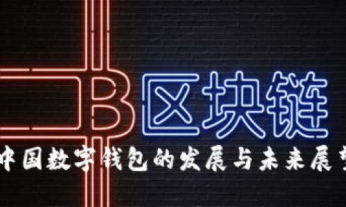 中國(guó)數(shù)字錢(qián)包的發(fā)展與未來(lái)展望