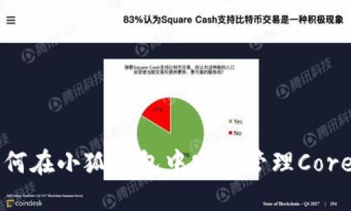 如何在小狐錢(qián)包中安全管理Core幣