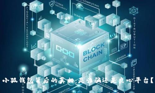 小狐錢包背后的真相：是詐騙還是良心平臺(tái)？