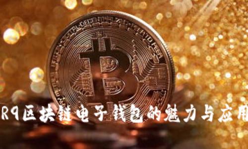 R9區(qū)塊鏈電子錢包的魅力與應(yīng)用