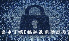 小狐錢(qián)包出幣了嗎？揭秘