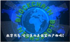 數(shù)字錢(qián)包：它們真的是國(guó)