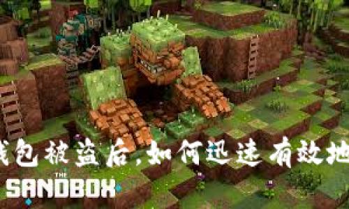 小狐錢包被盜后，如何迅速有效地處理？