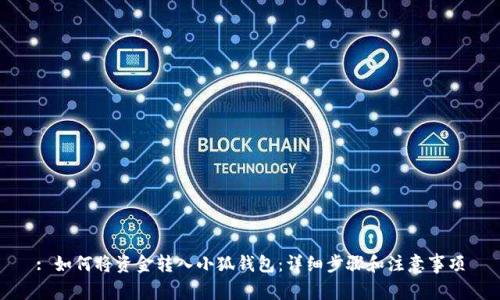 : 如何將資金轉(zhuǎn)入小狐錢包：詳細(xì)步驟和注意事項