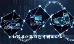 如何在小狐錢(qián)包中增加C